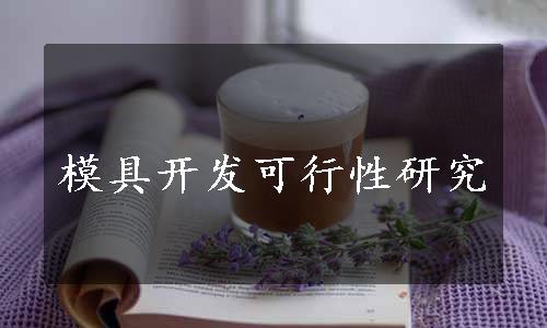 模具开发可行性研究