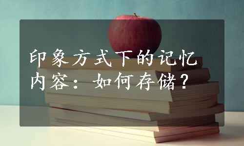 印象方式下的记忆内容：如何存储？