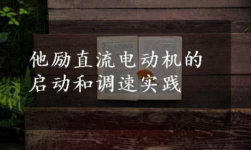 他励直流电动机的启动和调速实践