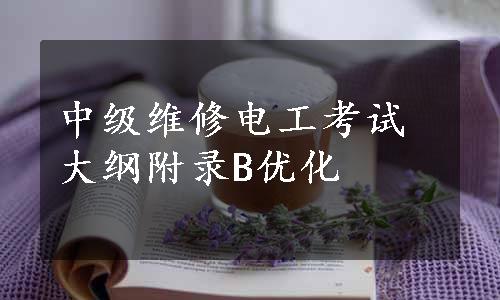 中级维修电工考试大纲附录B优化