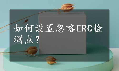 如何设置忽略ERC检测点？