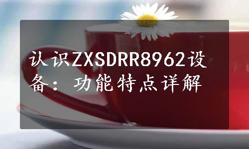 认识ZXSDRR8962设备：功能特点详解