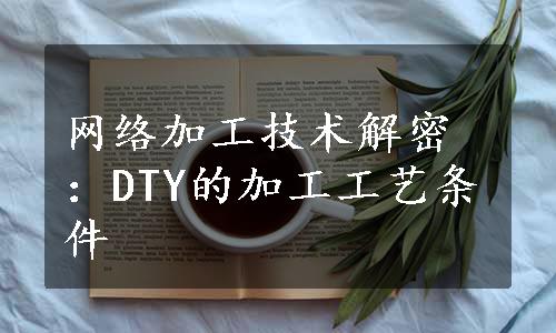 网络加工技术解密：DTY的加工工艺条件