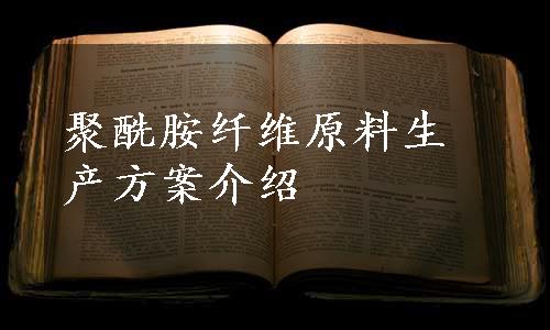 聚酰胺纤维原料生产方案介绍