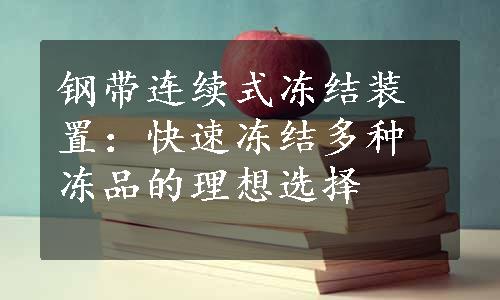 钢带连续式冻结装置：快速冻结多种冻品的理想选择