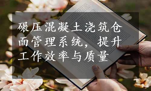 碾压混凝土浇筑仓面管理系统，提升工作效率与质量