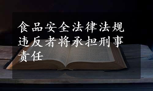 食品安全法律法规违反者将承担刑事责任