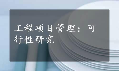 工程项目管理：可行性研究