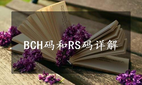 BCH码和RS码详解