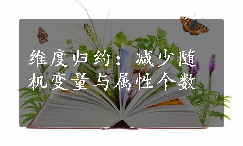 维度归约：减少随机变量与属性个数