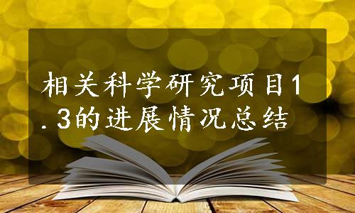 相关科学研究项目1.3的进展情况总结