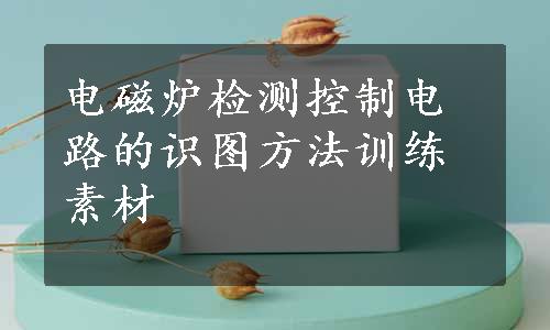 电磁炉检测控制电路的识图方法训练素材