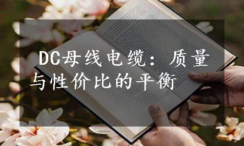  DC母线电缆：质量与性价比的平衡
