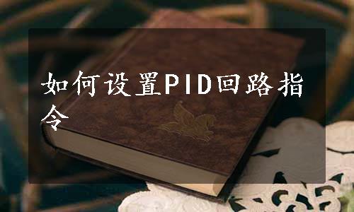 如何设置PID回路指令