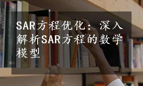 SAR方程优化：深入解析SAR方程的数学模型