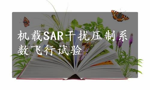 机载SAR干扰压制系数飞行试验