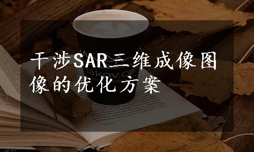 干涉SAR三维成像图像的优化方案