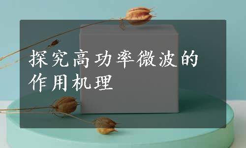 探究高功率微波的作用机理