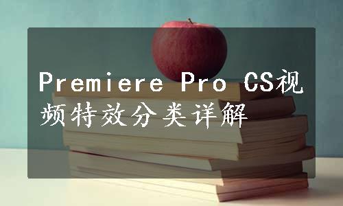 Premiere Pro CS视频特效分类详解