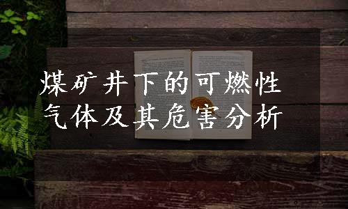 煤矿井下的可燃性气体及其危害分析