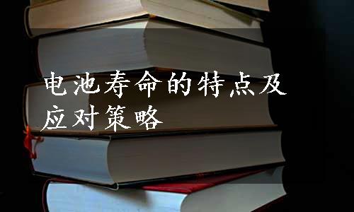 电池寿命的特点及应对策略