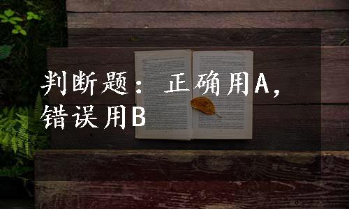 判断题：正确用A，错误用B