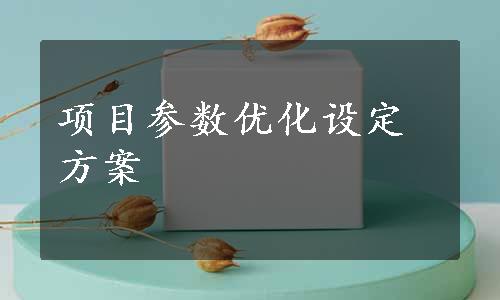 项目参数优化设定方案