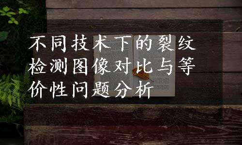 不同技术下的裂纹检测图像对比与等价性问题分析