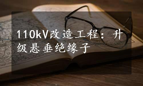 110kV改造工程：升级悬垂绝缘子