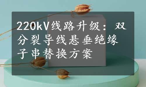 220kV线路升级：双分裂导线悬垂绝缘子串替换方案