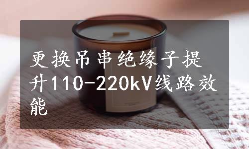 更换吊串绝缘子提升110-220kV线路效能