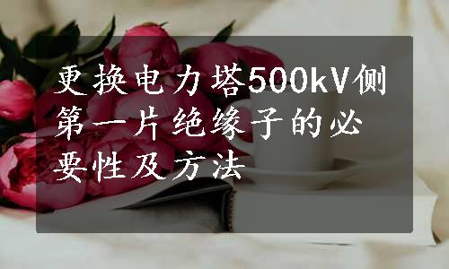 更换电力塔500kV侧第一片绝缘子的必要性及方法