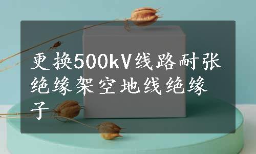 更换500kV线路耐张绝缘架空地线绝缘子