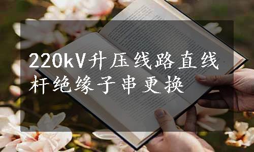 220kV升压线路直线杆绝缘子串更换