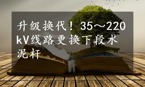 升级换代！35～220kV线路更换下段水泥杆