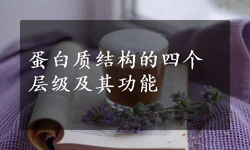 蛋白质结构的四个层级及其功能