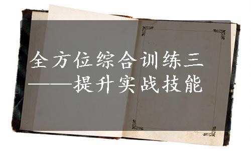 全方位综合训练三——提升实战技能