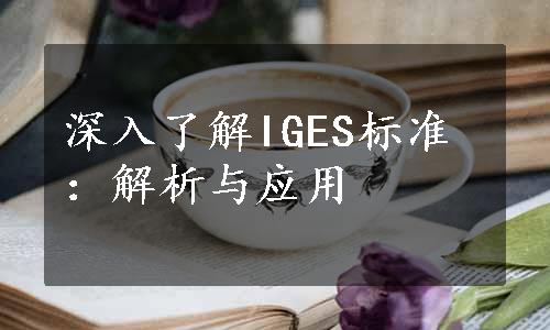 深入了解IGES标准：解析与应用