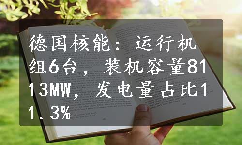 德国核能：运行机组6台，装机容量8113MW，发电量占比11.3%