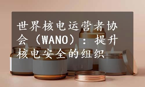 世界核电运营者协会（WANO）：提升核电安全的组织