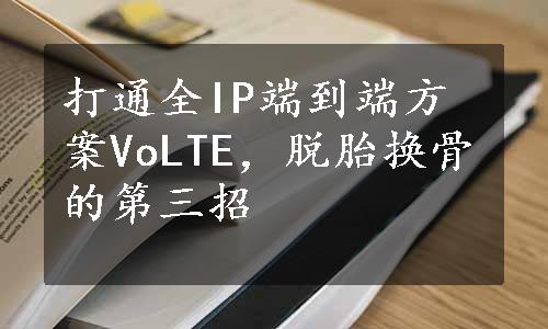 打通全IP端到端方案VoLTE，脱胎换骨的第三招