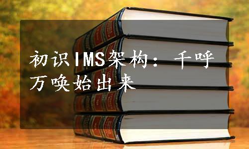 初识IMS架构：千呼万唤始出来