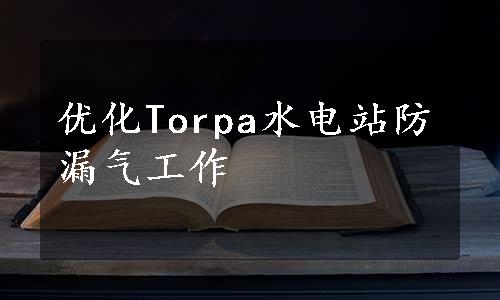 优化Torpa水电站防漏气工作