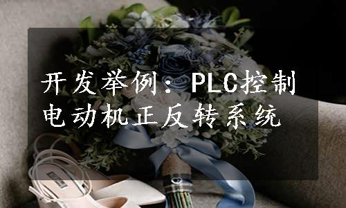 开发举例：PLC控制电动机正反转系统