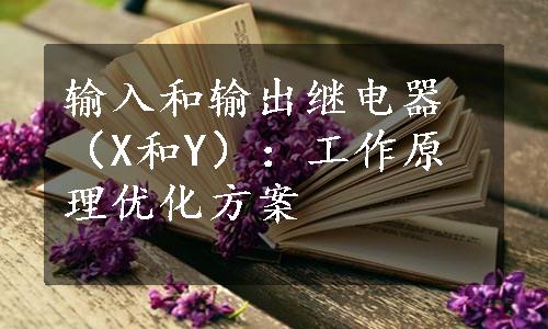 输入和输出继电器（X和Y）：工作原理优化方案