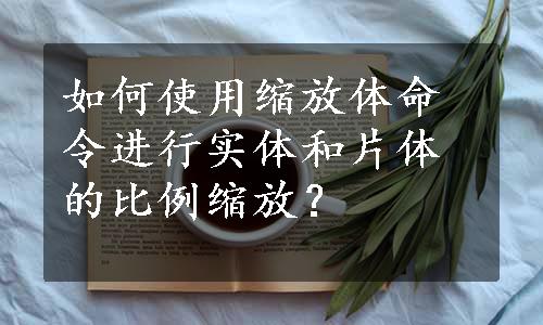 如何使用缩放体命令进行实体和片体的比例缩放？