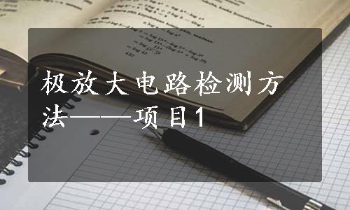 极放大电路检测方法——项目1