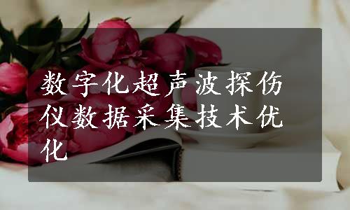 数字化超声波探伤仪数据采集技术优化