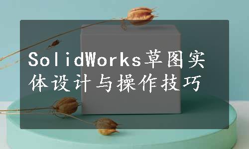 SolidWorks草图实体设计与操作技巧