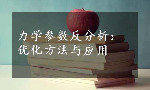 力学参数反分析：优化方法与应用